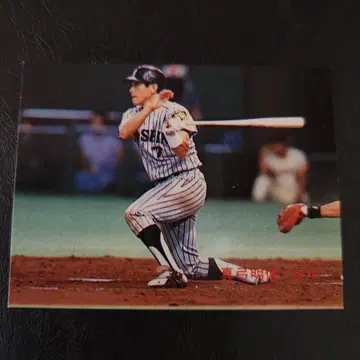 카루비 야구 카드 89년 No.376 마유미 아키노부 (한신)