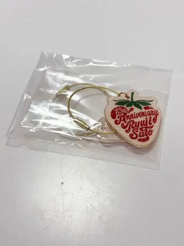 15주년 류지 사토 키링