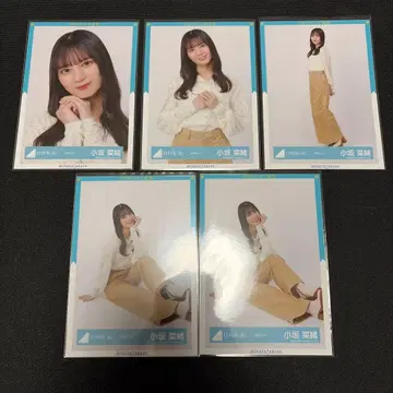 히나타자카46 코사카 나오 브로마이드 컴프