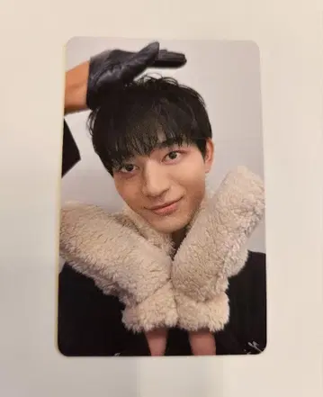 원인은 자신에게 있다. 트레이딩 카드 요시자와 요토