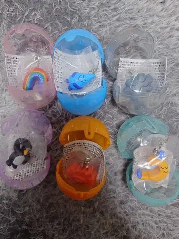 Daisuke Kondo 메지루시 액세서리 6종 세미 컴프 참