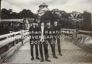 엘리펀트 카시마시 포스터 D