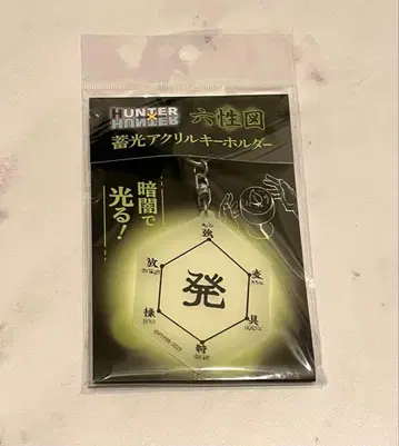 HUNTER x HUNTER 육성도 축광 아크릴 키링