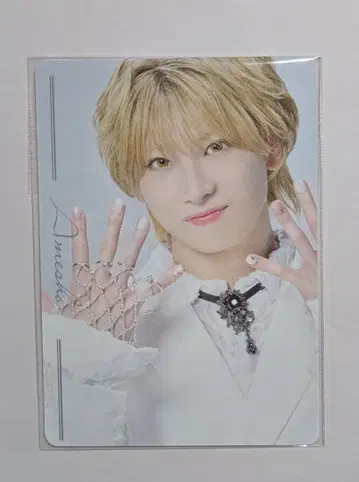 캐터리아 트레이딩 카드 아메쇼