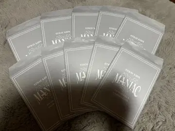 straykids 스키즈 랜덤 포토카드 10장 MANIAC