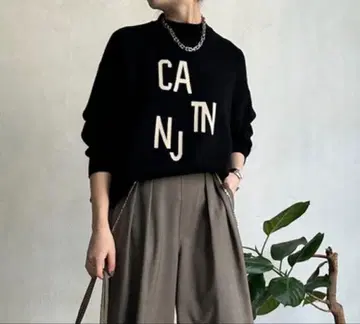 doudou 니트 zara iena 유나이티드 애로우즈