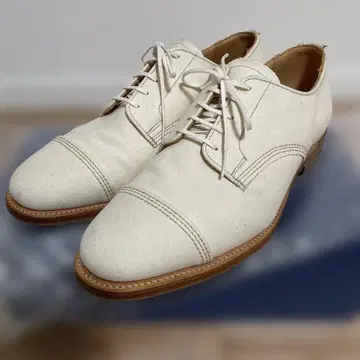 썬더스 화이트 캔버스 슈즈