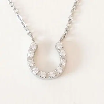 스와로브스키 호스슈 SCOMMAG 프티 316L 펜던트