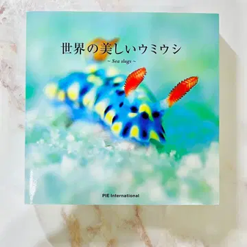 세상의 아름다운 바다 민달팽이