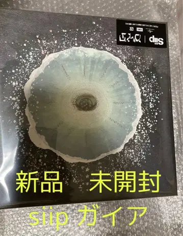 siip 가이아 미개봉