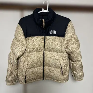 THE NORTH FACE 다운 자켓 700 해외