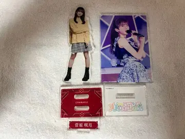 스가와라 사츠키 아크릴 스탠드 노기코레 한여름의 전국 투어 2023