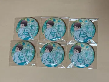하이큐 아오바죠사이 오이카와 토오루 가로막 캔뱃지 글리터 6점