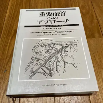 중요 혈관으로의 접근