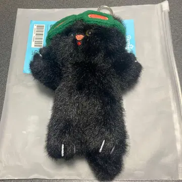 BOYNEXTDOOR 푸네크도 테산 봉제 인형 키링 트레이딩 카드 없음