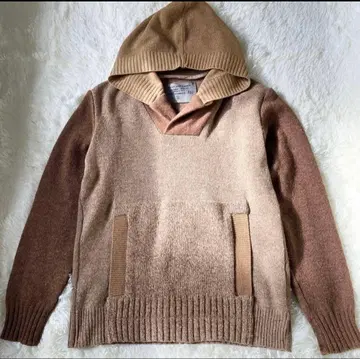Carel Van Laere 후드티 양모 이탈리아 니트 브라운
