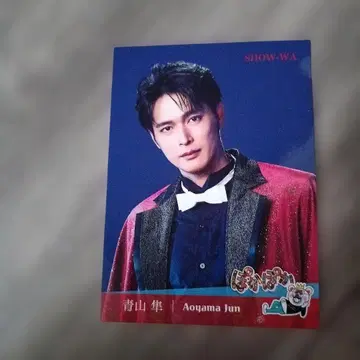 SHOW-WA 아오야마 준 준준 포카포카 신 스티커