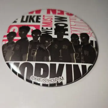 하이큐 WEGO 콜라보 네코마 캔뱃지 [ 레어 ]