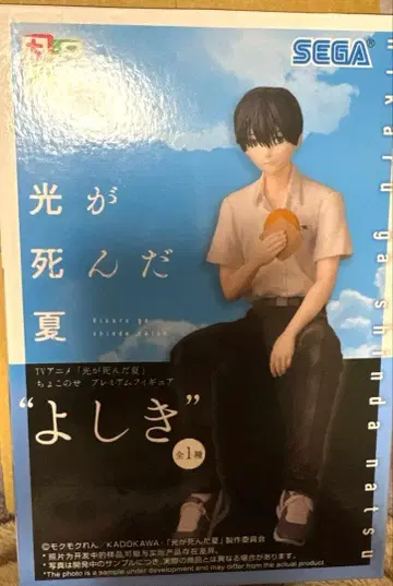 빛이 죽은 여름 요시키