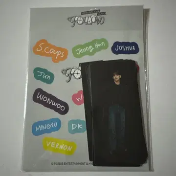 SEVENTEEN FOLLOW AGAIN 스티커 세트