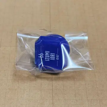 아이나나 10th 린라이 이오리