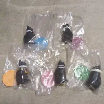 검은 고양이와 목걸이 캡슐 토이 6개 세트