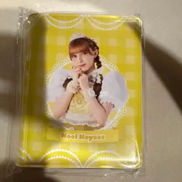 하야세 노엘 폴라로이드 파일