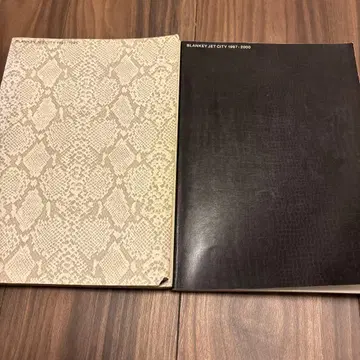 BLANKEY JET CITY 밴드 스코어 2권 세트