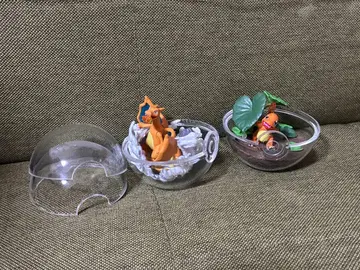 포켓몬 테라리움 리자몽 파이리