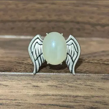 가정교사 히트맨 REBORN! 봉고레 반지 육조화 백란 마레 반지 2