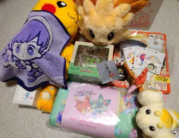 피카피카 박스 2026 코이킹 제외 묶음 판매