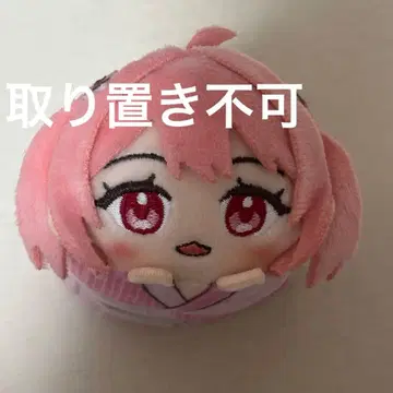 컬러풀피치 카라피치 모치코로링 노아