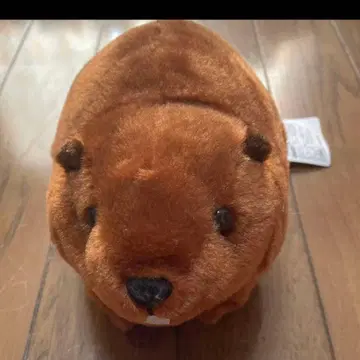 비버 봉제 인형
