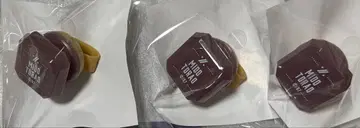 아이나나 링 라이트 토라오