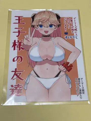 후지미 쇼보 왕자님의 친구 게이머즈 구매 혜택 소책자 스케로쿠