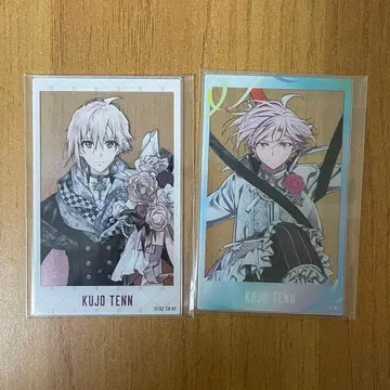 아이나나 10th Anniversary 아크릴 포토 카드 텐