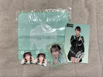 fruitzipper 사쿠라이 유이 묶음 판매