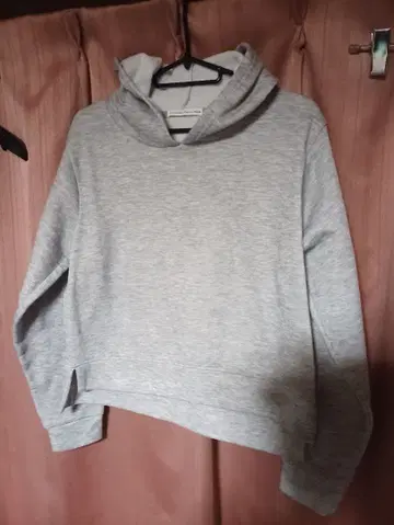 하이픈 world gallery 스테디셀러 그레이 크롭 후드티