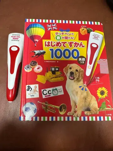 처음 배우는 그림책 1000 박스 있음