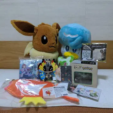 피카피카 박스 2026