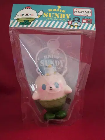 해수 샌디 노멀 세리노리카