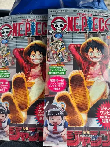 원피스 매거진 ONE PIECE magazine 20호 부록 카드 포함