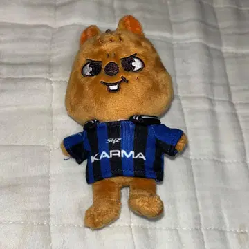 Stray Kids 한쿼카 키링