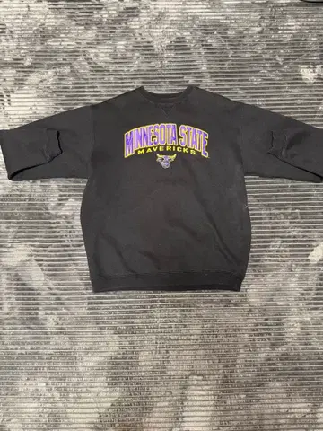 Minnesota State Mavericks 맨투맨 XL