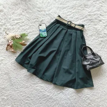 핀 플레어 스커트 허리밴딩 턱 F 외출용 체형 커버 고급