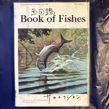 사카낙션 베스트 앨범 [ 어도감 ]