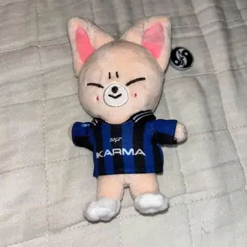 Stray Kids 아이엔 키링