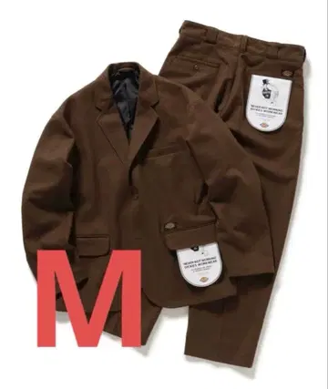 Dickies TRIPSTER / SUIT 25FW BROWN M