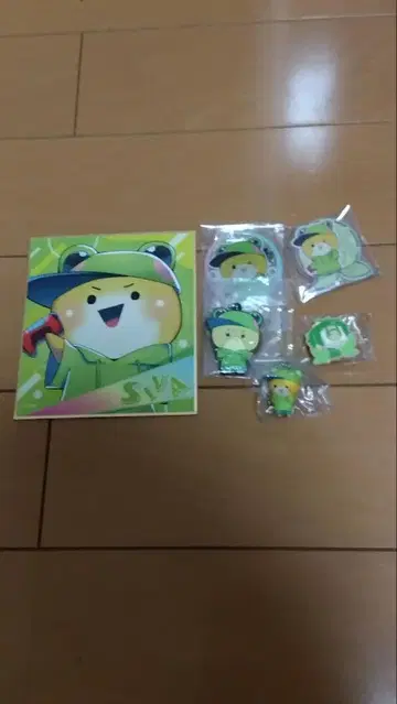 컬러풀 피치 시바