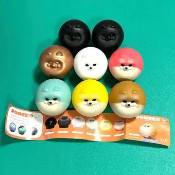 충견 포메공 시크릿 포함 x 총 7종 세트 풀컴프 가챠가챠